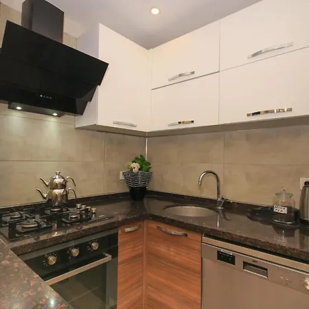 Metropolitan Art Apartment